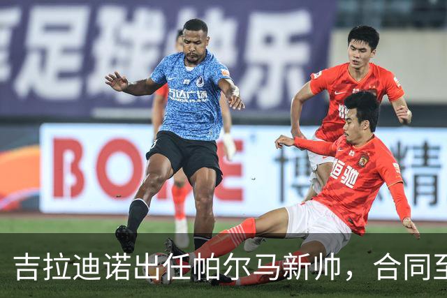 吉拉迪诺出任帕尔马新帅，合同至明年6月并附续约条款